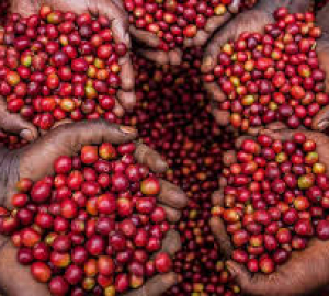 Cơ sở máy móc hiện đại