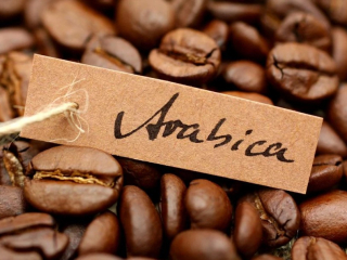 CÀ PHÊ ARABICA CẦU ĐẤT – DÒNG NGUYÊN LIỆU ARABICA TUYỆT VỜI CỦA VIỆT NAM