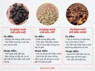 Quy trình về Chế biến cà phê Hy Vọng Mới Coffee tại Long An