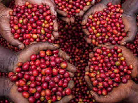 Cơ sở máy móc hiện đại