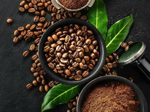 Hình ảnh đồi cà phê tại Đắk Lắk